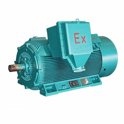 YB2系列高壓隔爆型高效率三相異步電動(dòng)機(jī)