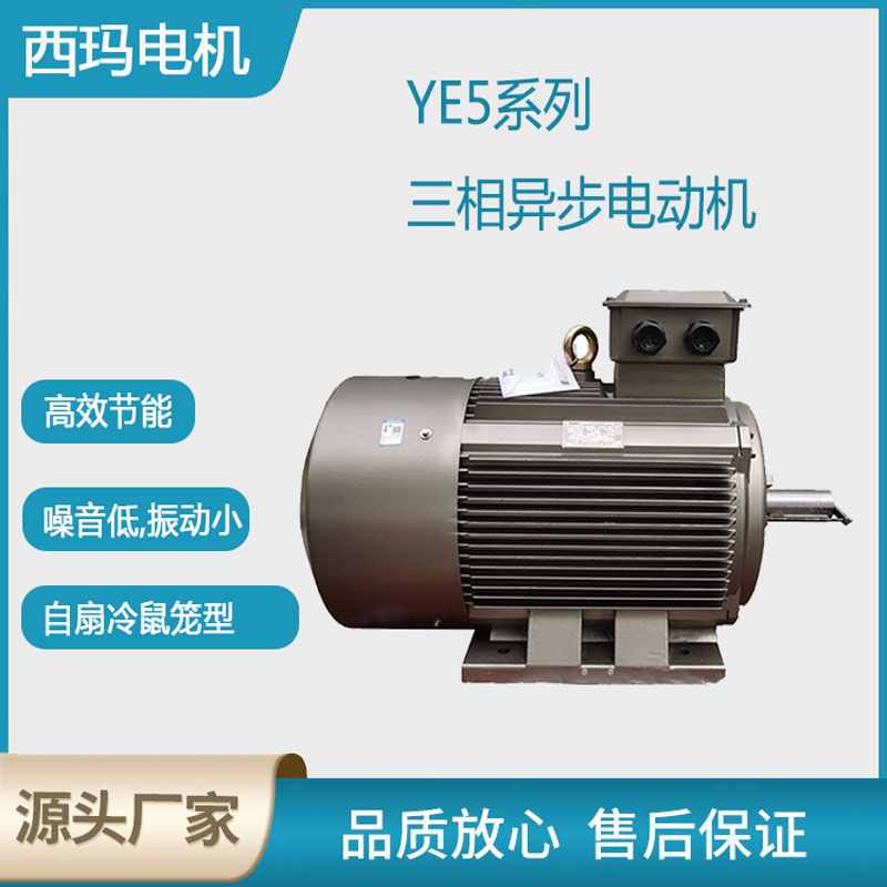 西瑪品牌YE5型號三相異步電動機賞析！